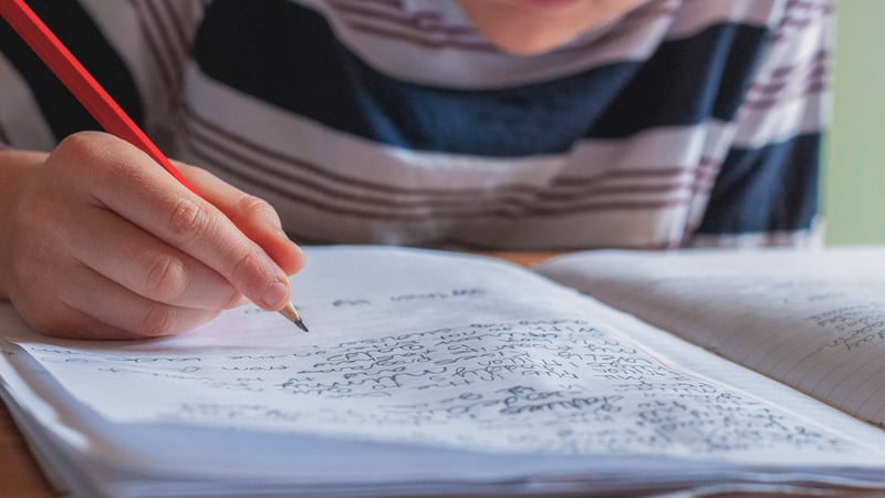 Kid writing in his journal