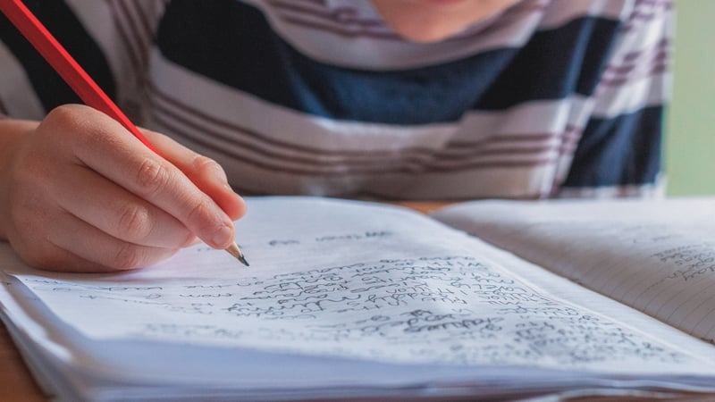 Kid writing in his journal