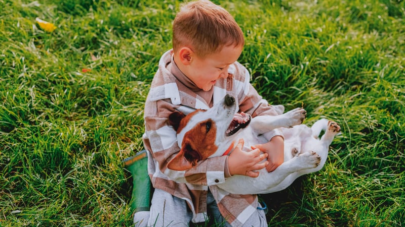 Kid playing with his dog