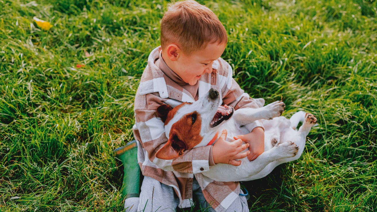 Kid playing with his dog