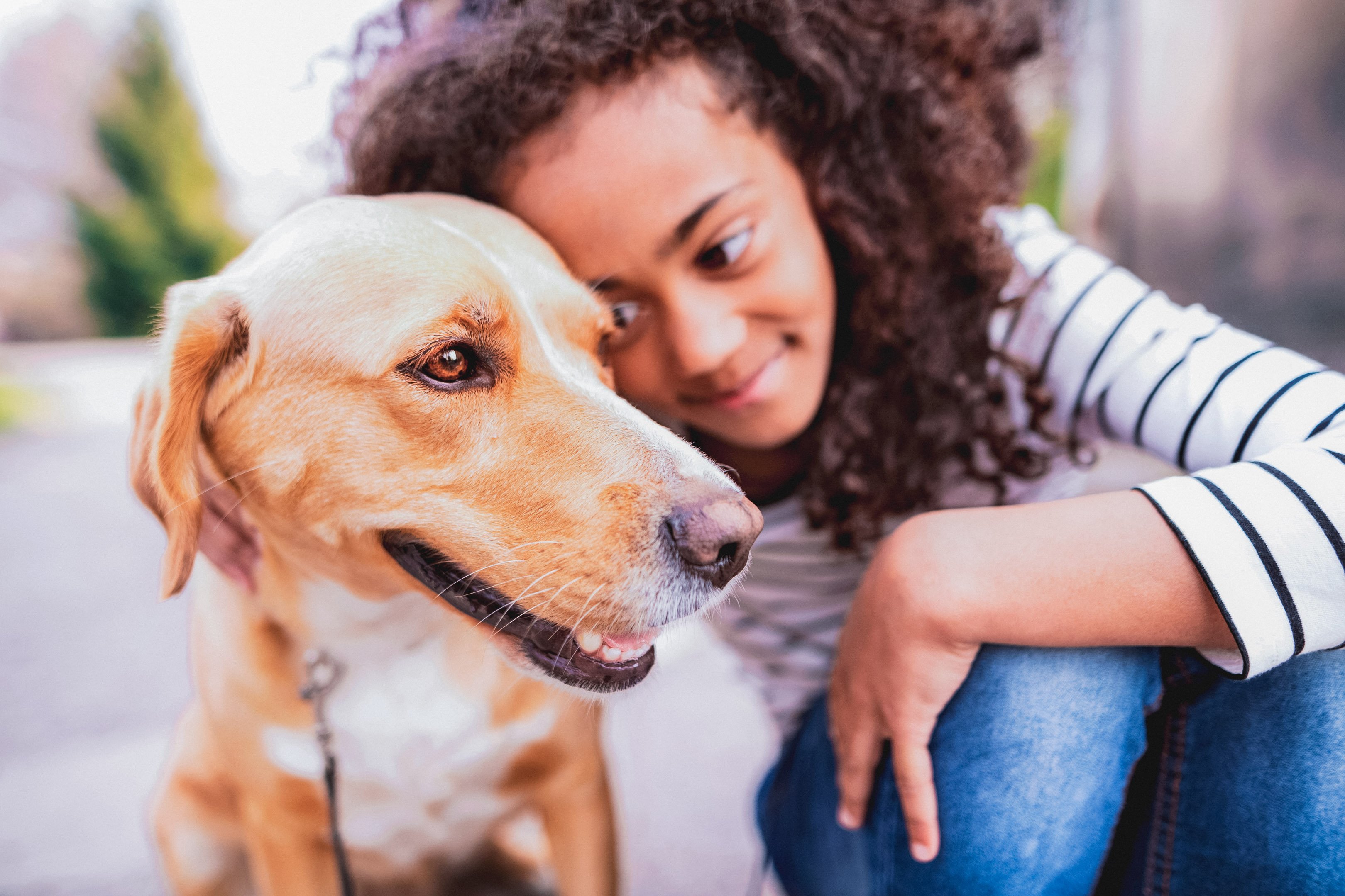 Little girl petting her dog