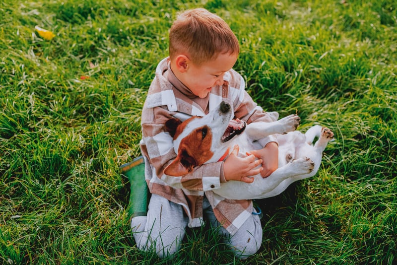 Kid playing with his dog